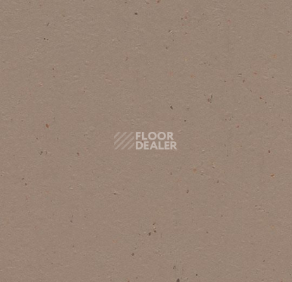 Линолеум Forbo Marmoleum Solid Cocoa 3580-358035 milk chocolate фото 1 | FLOORDEALER